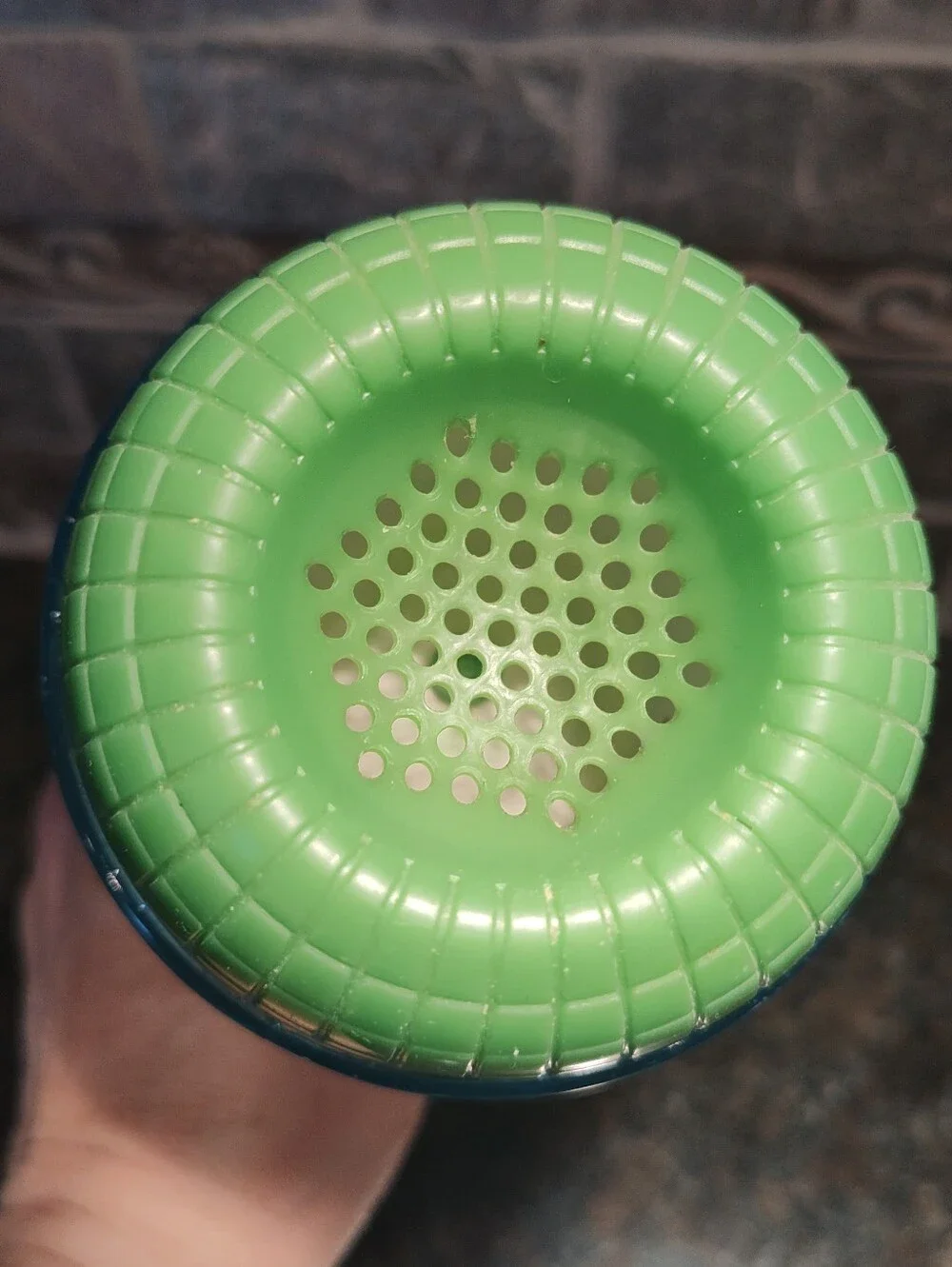 Gymboree Echo Microphone Toy, Green And Blue Glitter